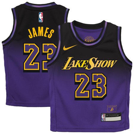 Toddler Los Angeles Lakers LeBron James Nike Purple 2024/25 Swingman Player Jersey - City Edition